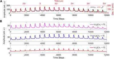 Implementation of input correlation learning with an optoelectronic dendritic unit